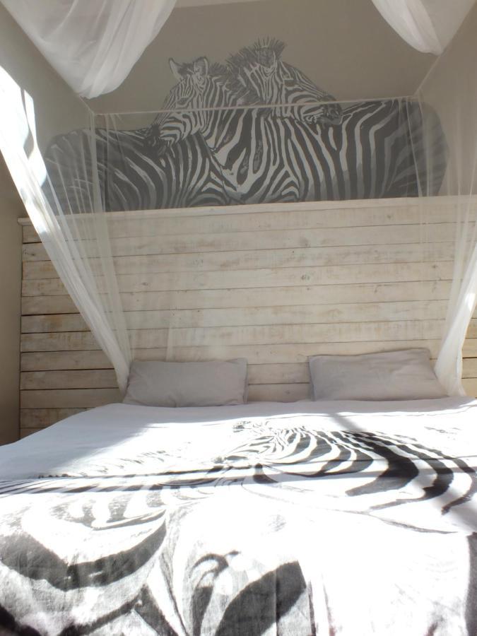Paradisegarden Backpackers Windhoek Exteriör bild